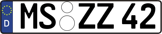 MS-ZZ42