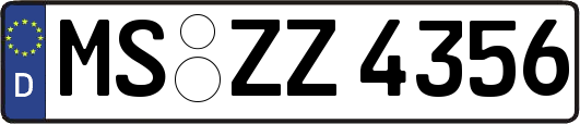 MS-ZZ4356