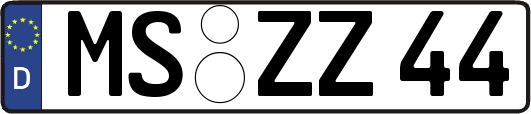 MS-ZZ44