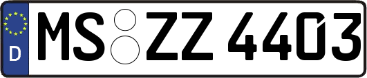 MS-ZZ4403
