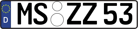 MS-ZZ53