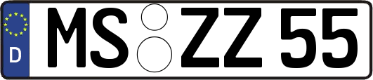 MS-ZZ55