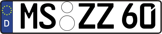 MS-ZZ60