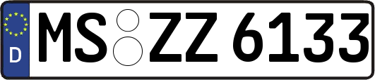 MS-ZZ6133