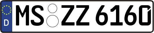 MS-ZZ6160