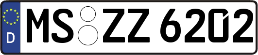 MS-ZZ6202