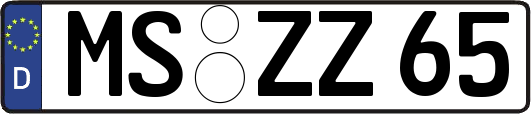 MS-ZZ65