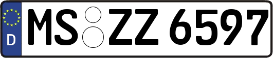MS-ZZ6597
