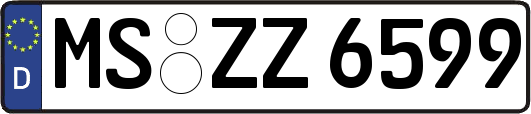 MS-ZZ6599