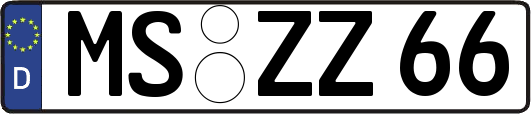 MS-ZZ66