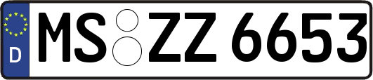MS-ZZ6653