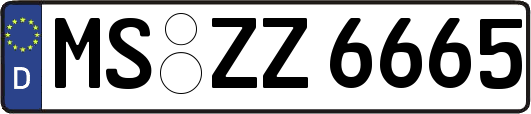 MS-ZZ6665