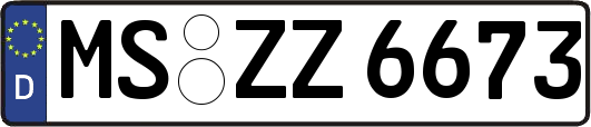 MS-ZZ6673