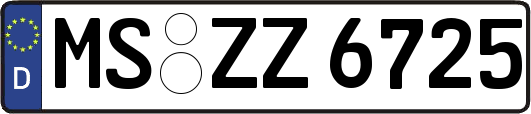 MS-ZZ6725