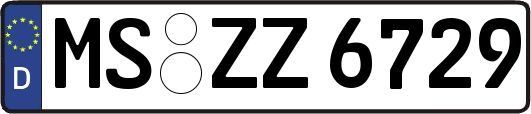 MS-ZZ6729