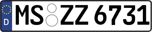 MS-ZZ6731
