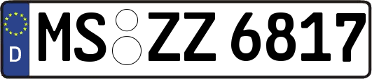 MS-ZZ6817