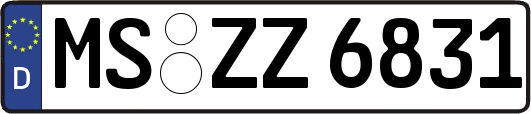 MS-ZZ6831