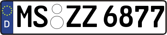 MS-ZZ6877