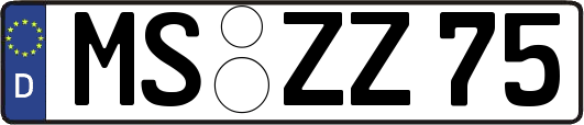 MS-ZZ75