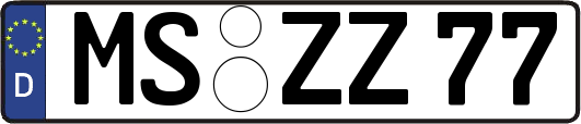 MS-ZZ77