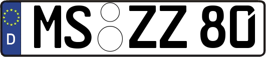 MS-ZZ80
