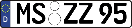 MS-ZZ95