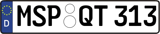 MSP-QT313