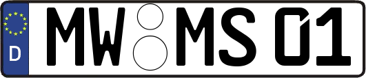 MW-MS01