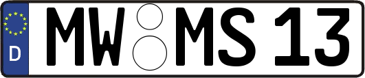 MW-MS13