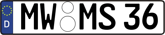 MW-MS36