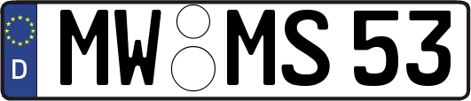 MW-MS53
