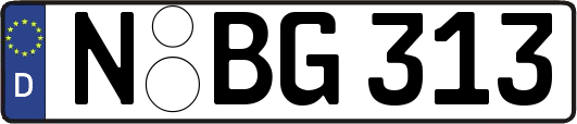 N-BG313
