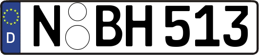 N-BH513