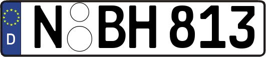 N-BH813