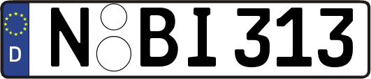 N-BI313