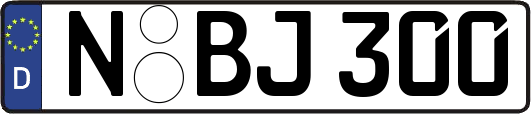 N-BJ300