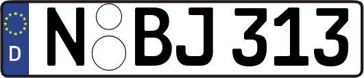 N-BJ313