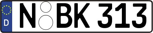 N-BK313