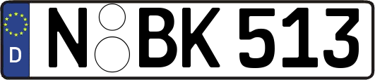 N-BK513