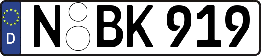 N-BK919