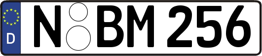 N-BM256