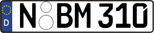 N-BM310