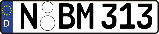 N-BM313