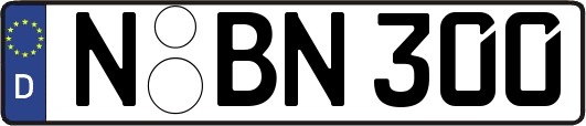 N-BN300