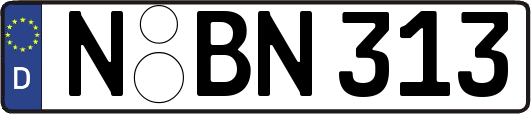 N-BN313