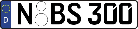 N-BS300