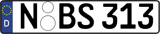 N-BS313