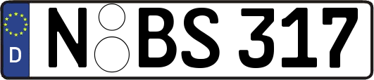 N-BS317