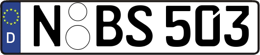 N-BS503